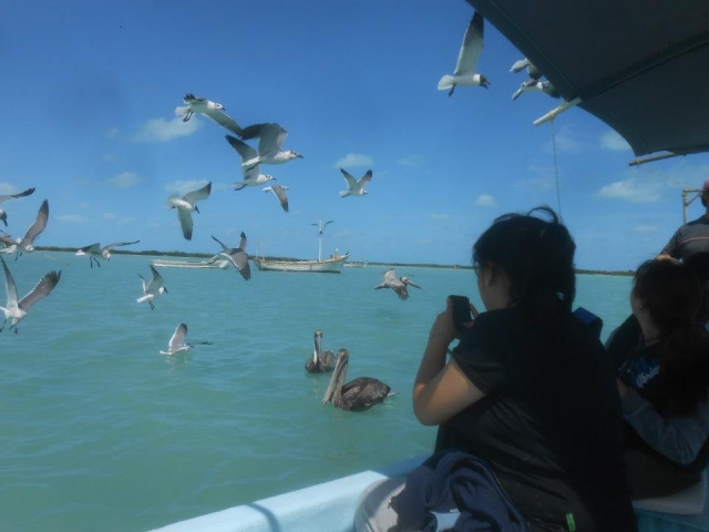 Disfrutando del paseo